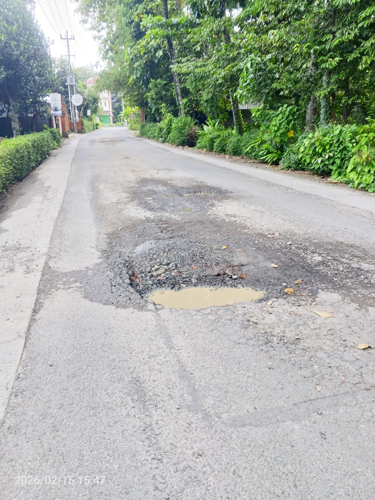 Lampiran 1771149029_nbrLBKm1.jpg