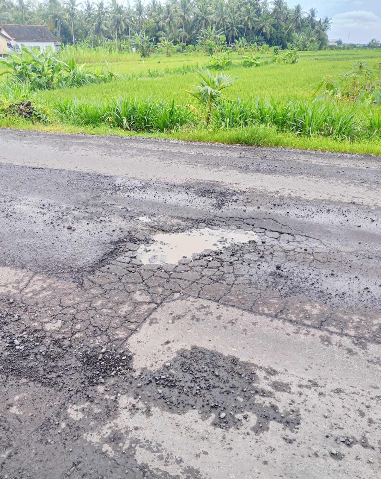 Lampiran 1771907967_Q54T4Wgk.jpg