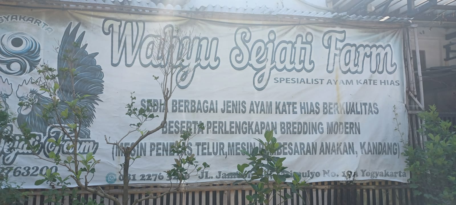 Lampiran 1785142350_qYBEVTnha0.jpg